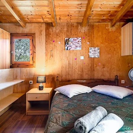 Wooden House